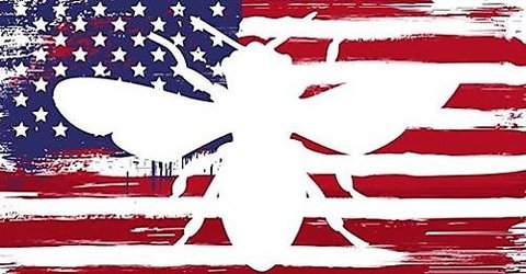 Painting of American flag with white silhouette of honey bee in middle